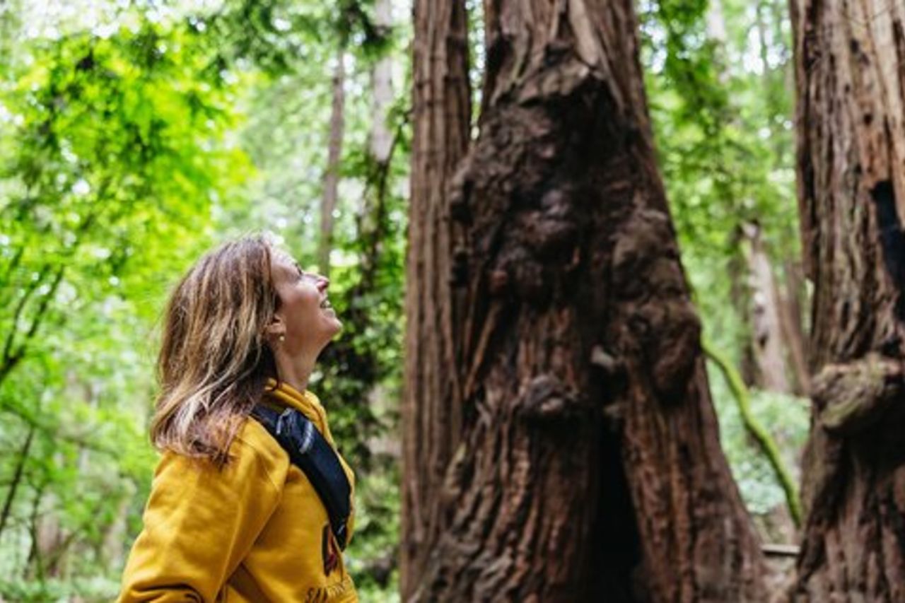 Muir Woods e Sausalito Tour (ritorno in autobus o traghetto)