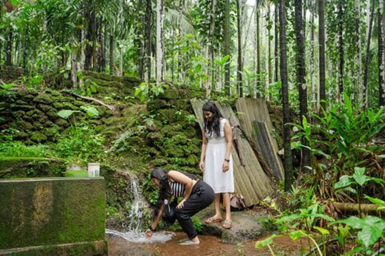 L'esperienza dell'entroterra di Goan nel sud di Goa
