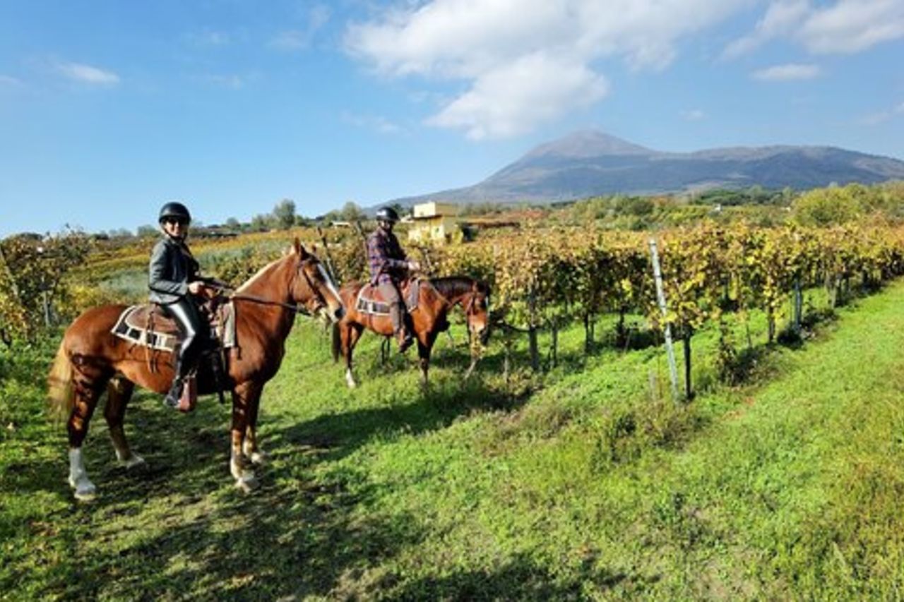 Tour guidato di Pompei e passeggiate a cavallo sul Vesuvio con pranzo