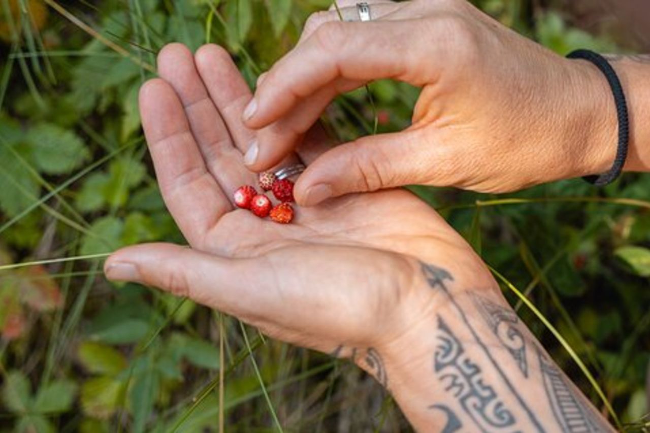 Safari per conoscere le erbe spontanee a San Vigilio