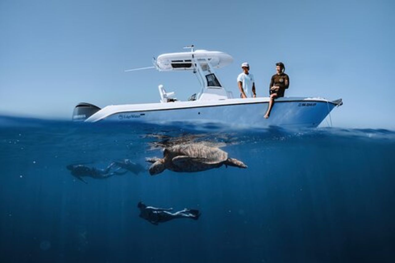 Turtle Canyon Snorkeling a Waikiki, Oahu Semi privato