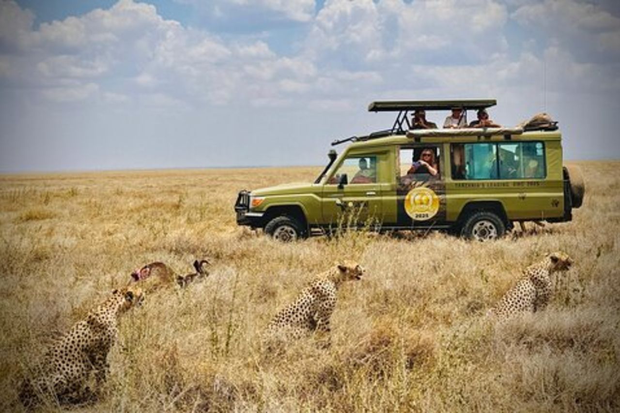 Tour classico di 3 giorni con safari di Serengeti