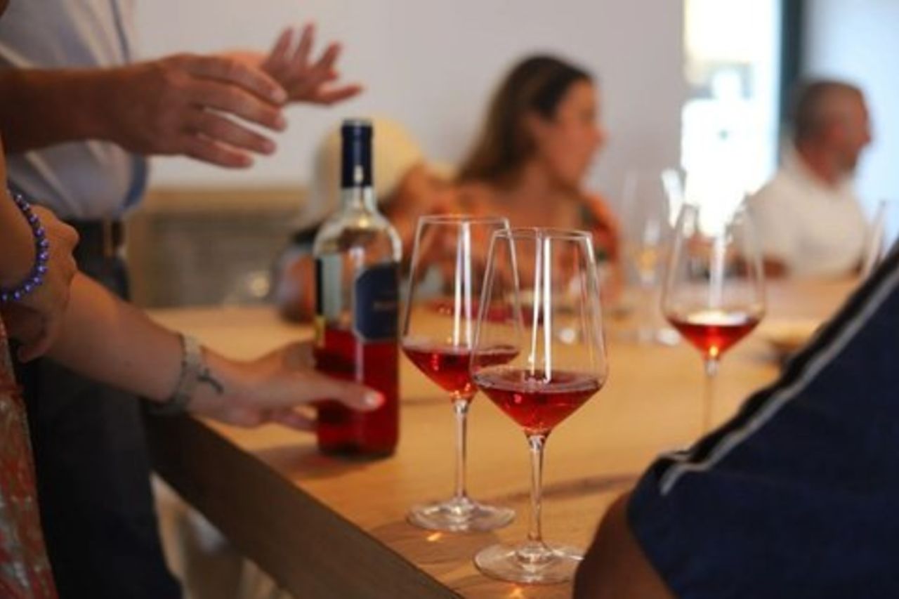 Castel del Monte UNESCO e cantina a Trani da Bari o Matera