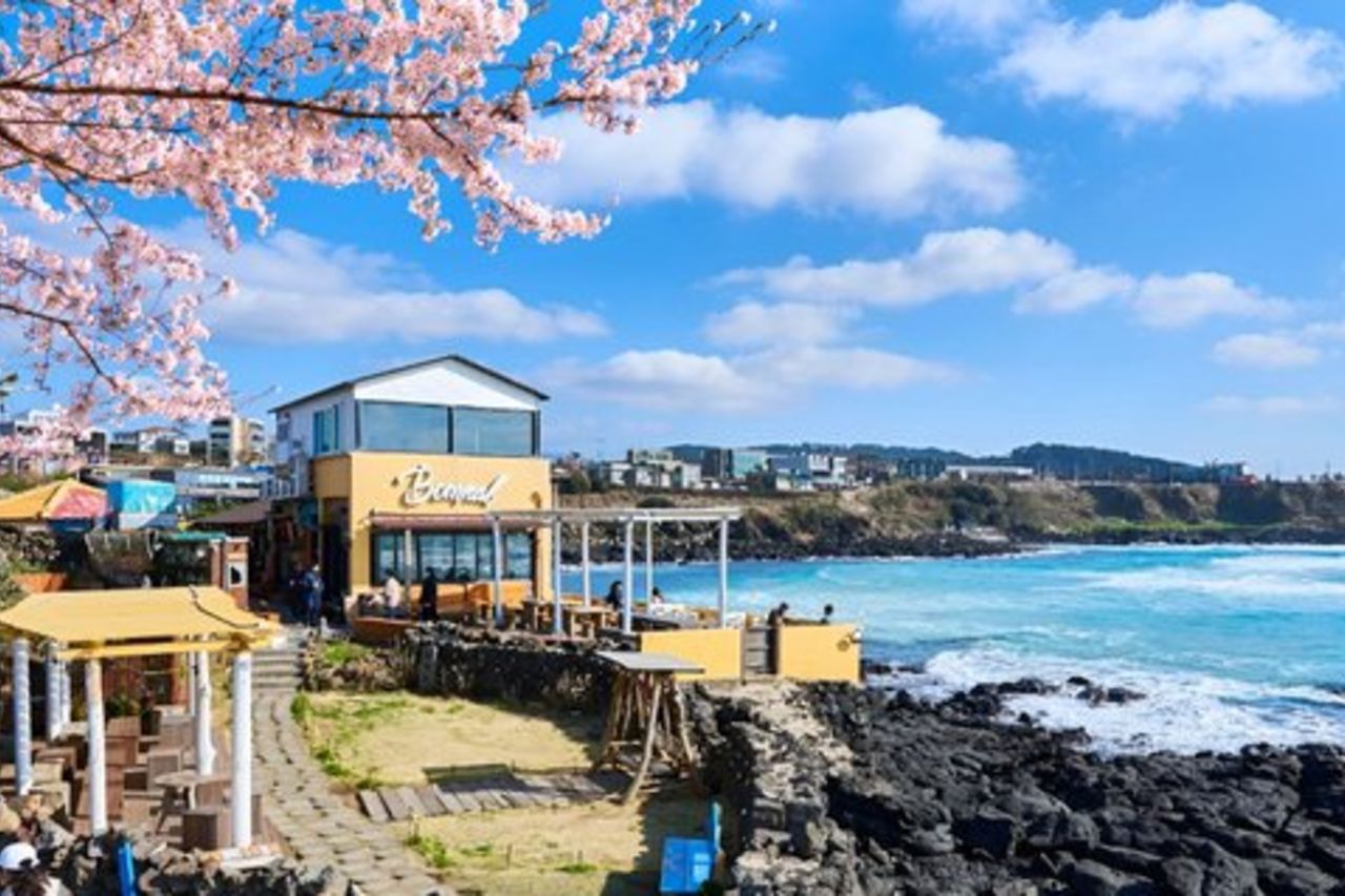 Jeju WEST&SOUTH Tour di un giorno con MT.halla e UNESCO