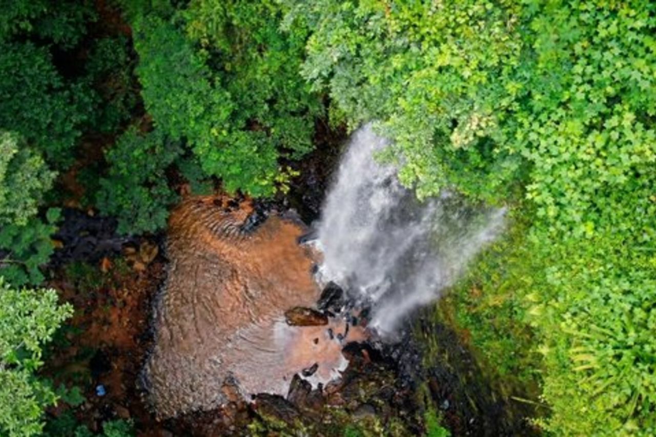 Cascate di Boti, Umbrella Rock, Aburi Gardens & Cocoa Farm Tour