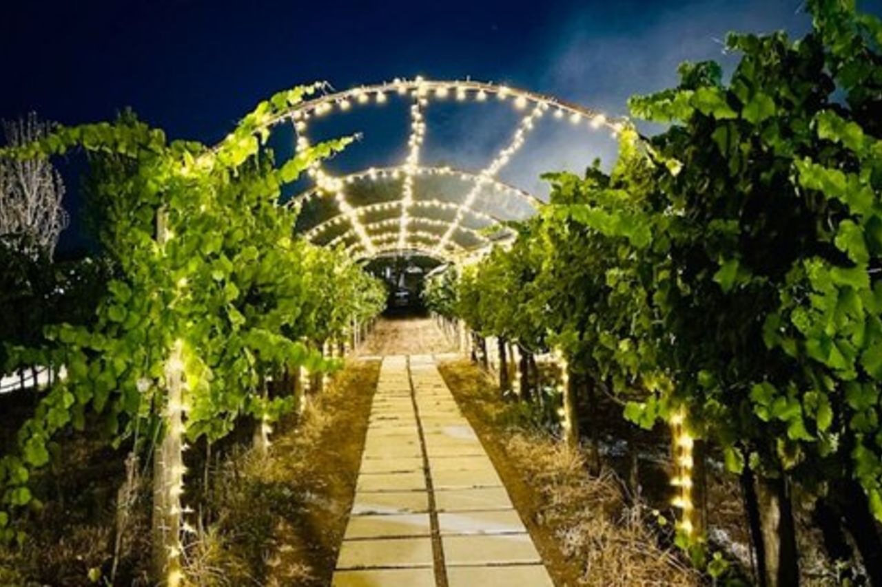 Degustazione Vini e Visita Guidata in Vigna e Cantina a S. Maria Imbaro