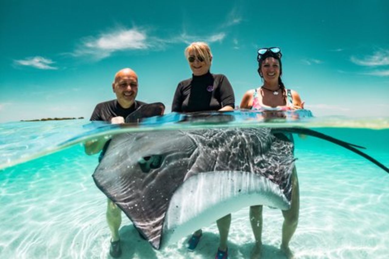 Moorea Lagoon Tour Snorkeling con squali e razze