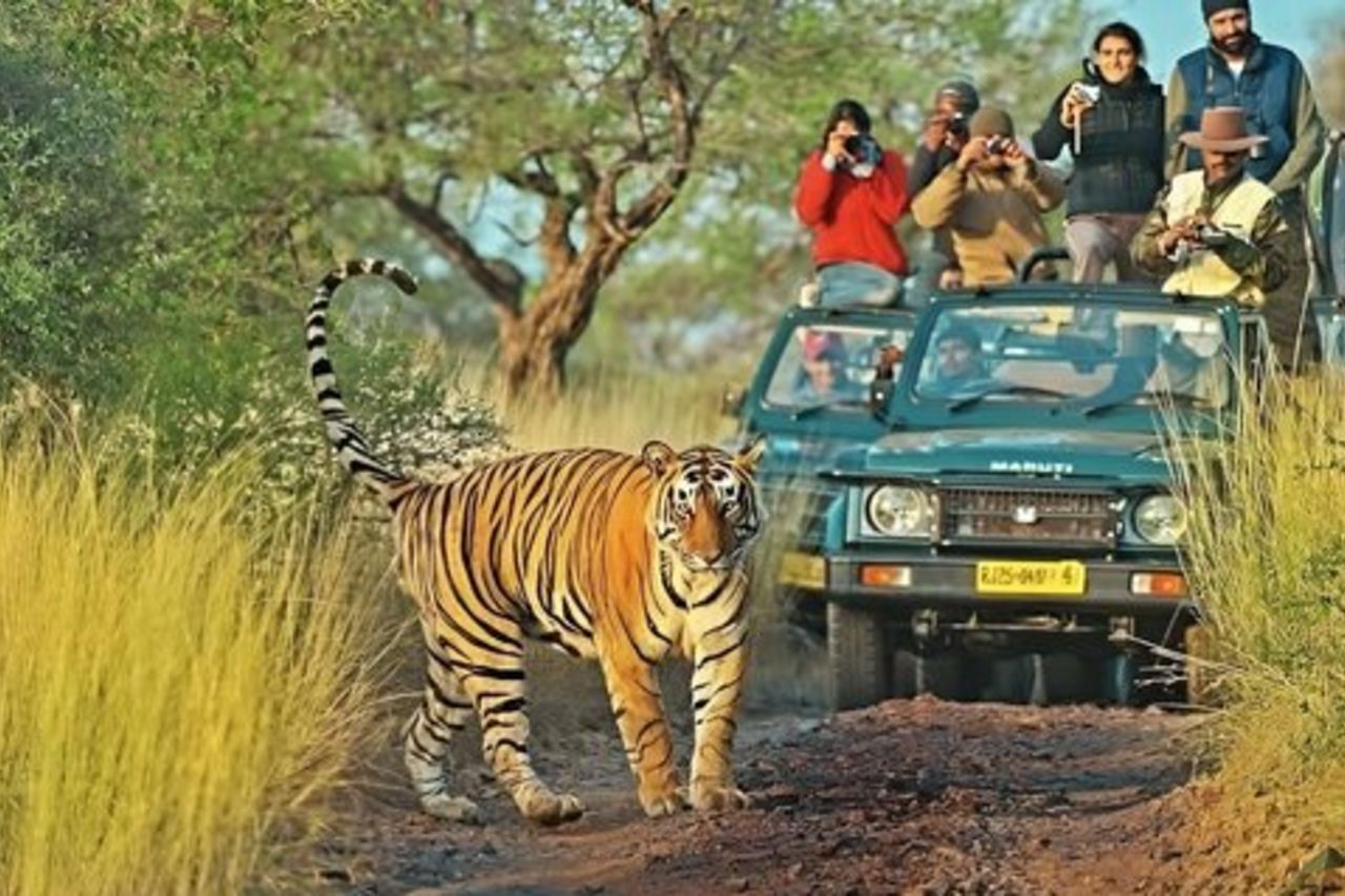 Da Delhi: 6 giorni Delhi, Jaipur, Agra e Ranthambore in auto