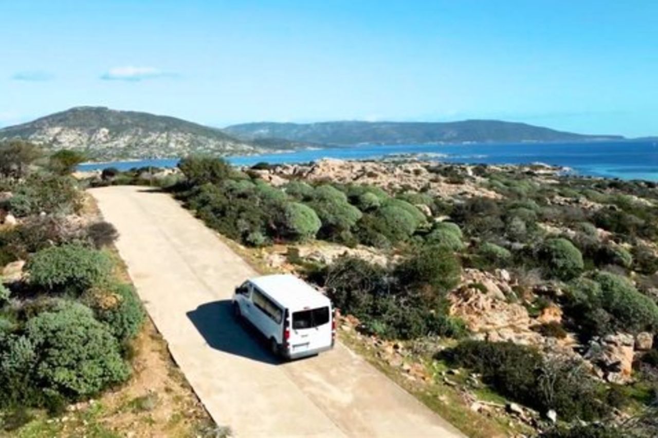 Da Stintino: tour in minivan dell'Asinara