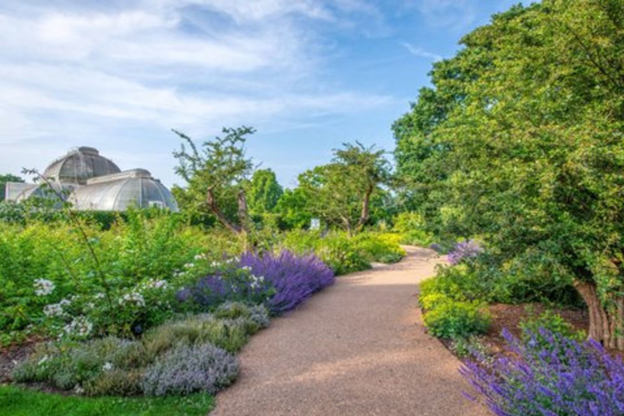 Biglietto d'ingresso ai Kew Gardens