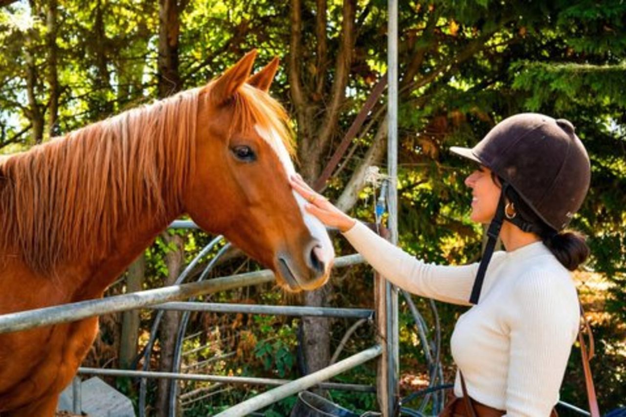 Tour a cavallo sulle colline del Chianti toscano