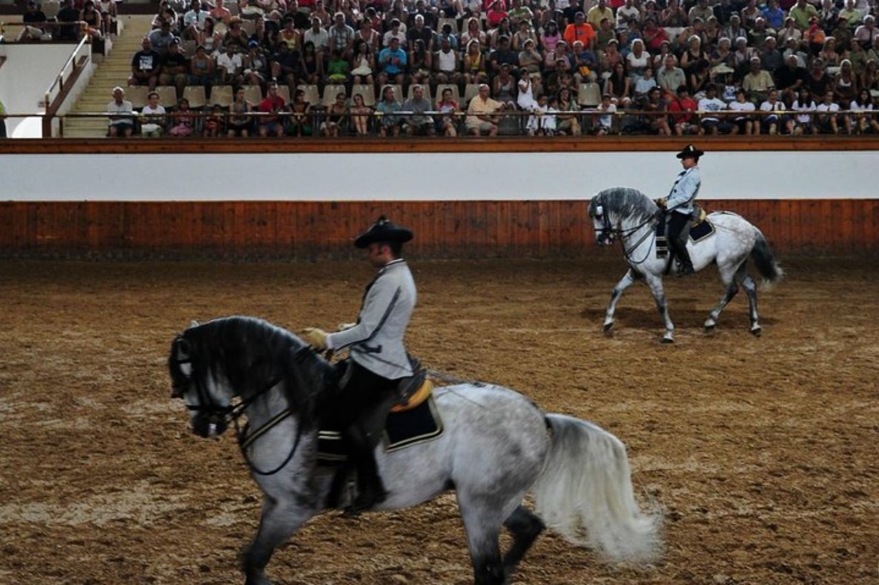 Jerez e Cadice con balletto a cavallo e degustazione di sherry da Siviglia