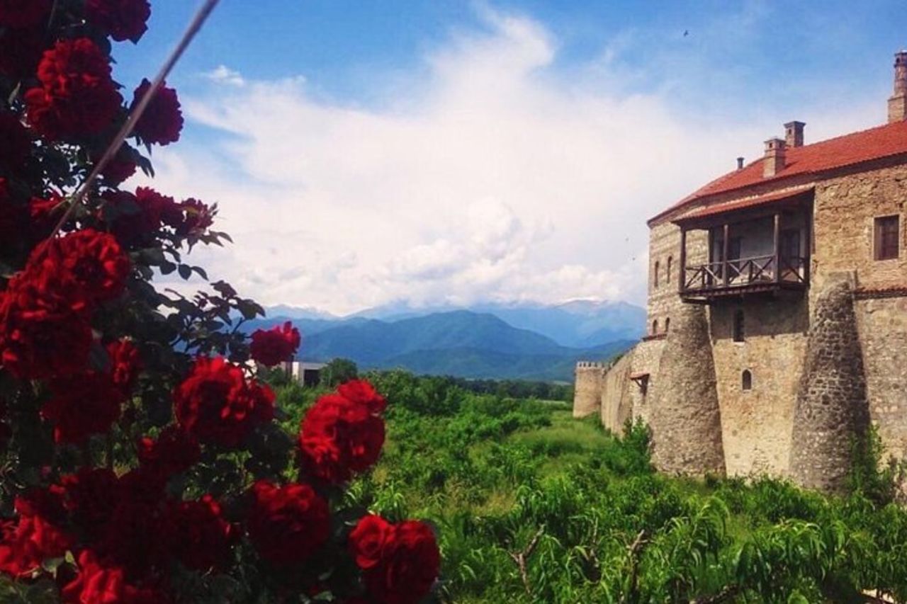 Degustazione di vini e tour panoramico di Kaheti