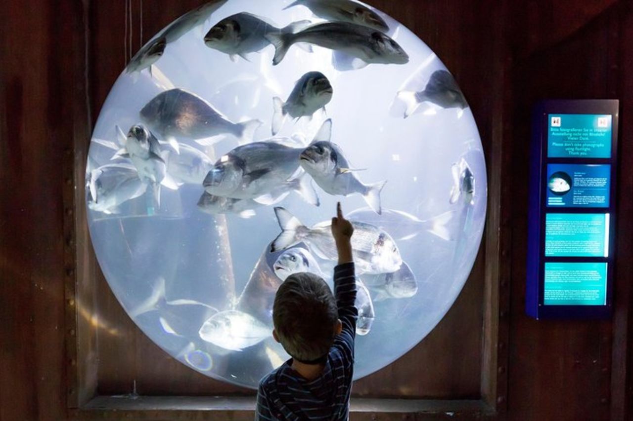 Biglietto d'ingresso SEA LIFE Speyer — 8