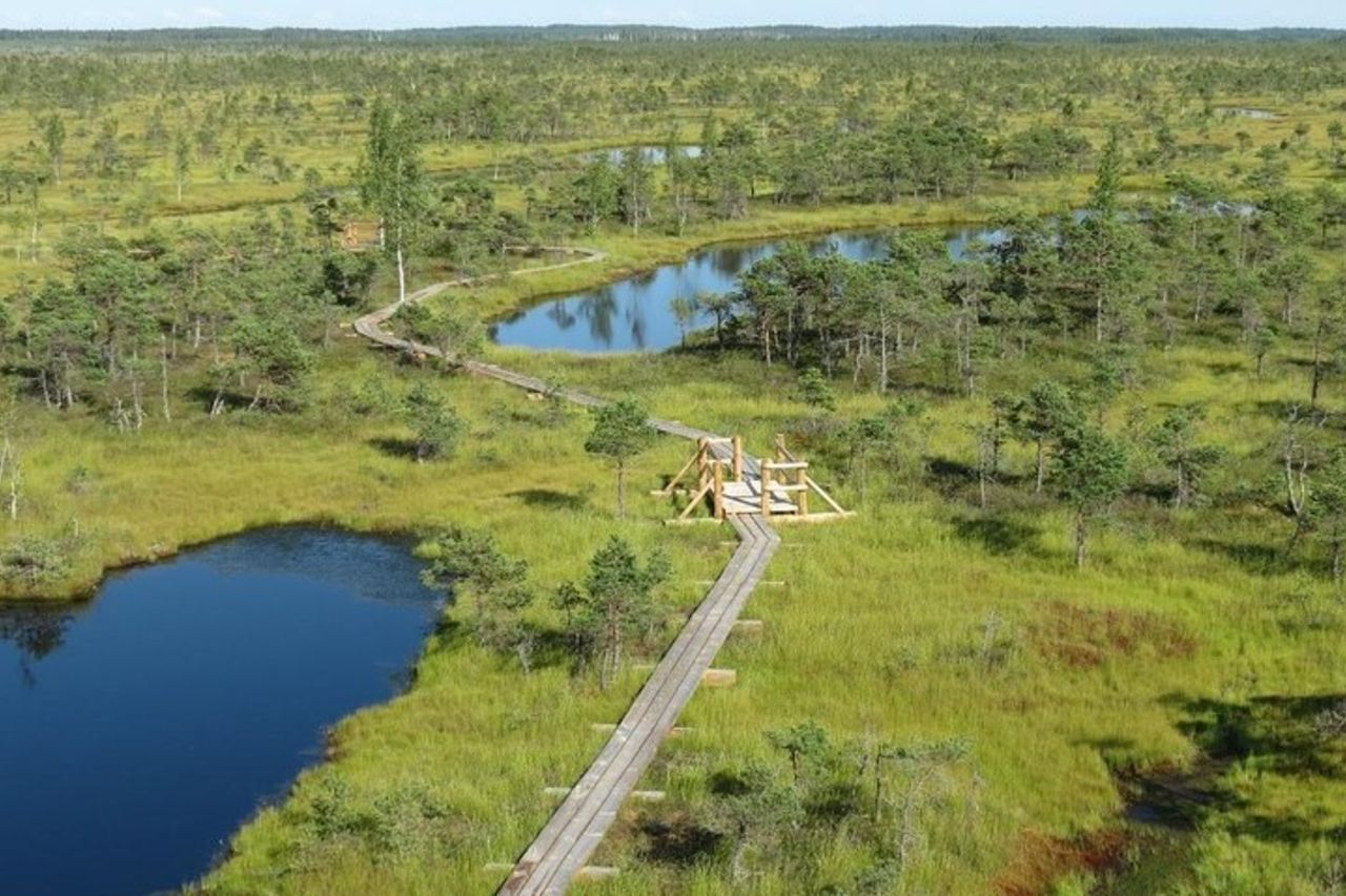 Tour dell'alba alla grande palude di Kemeri — 6