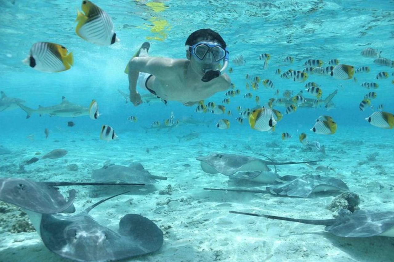 Bora Bora Jet Ski Tour, & Eco Shark / Ray Snorkel Cruise — 5