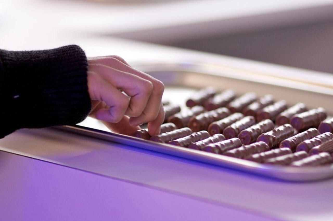 Tour Gruyères da Ginevra con treno, cioccolato e formaggio — 8