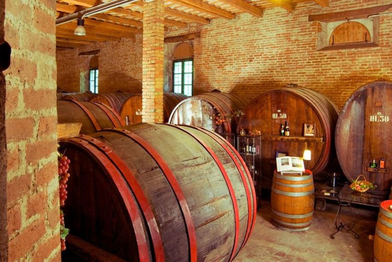 Tour del vino e degustazione presso la Più Antica Azienda Vinicola delle Marche — 2