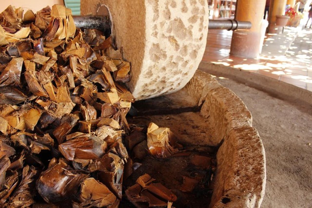 Tour di un'intera giornata: Hierve el agua, Teotitlán, Mezcal, El Tule e Mitla — 7