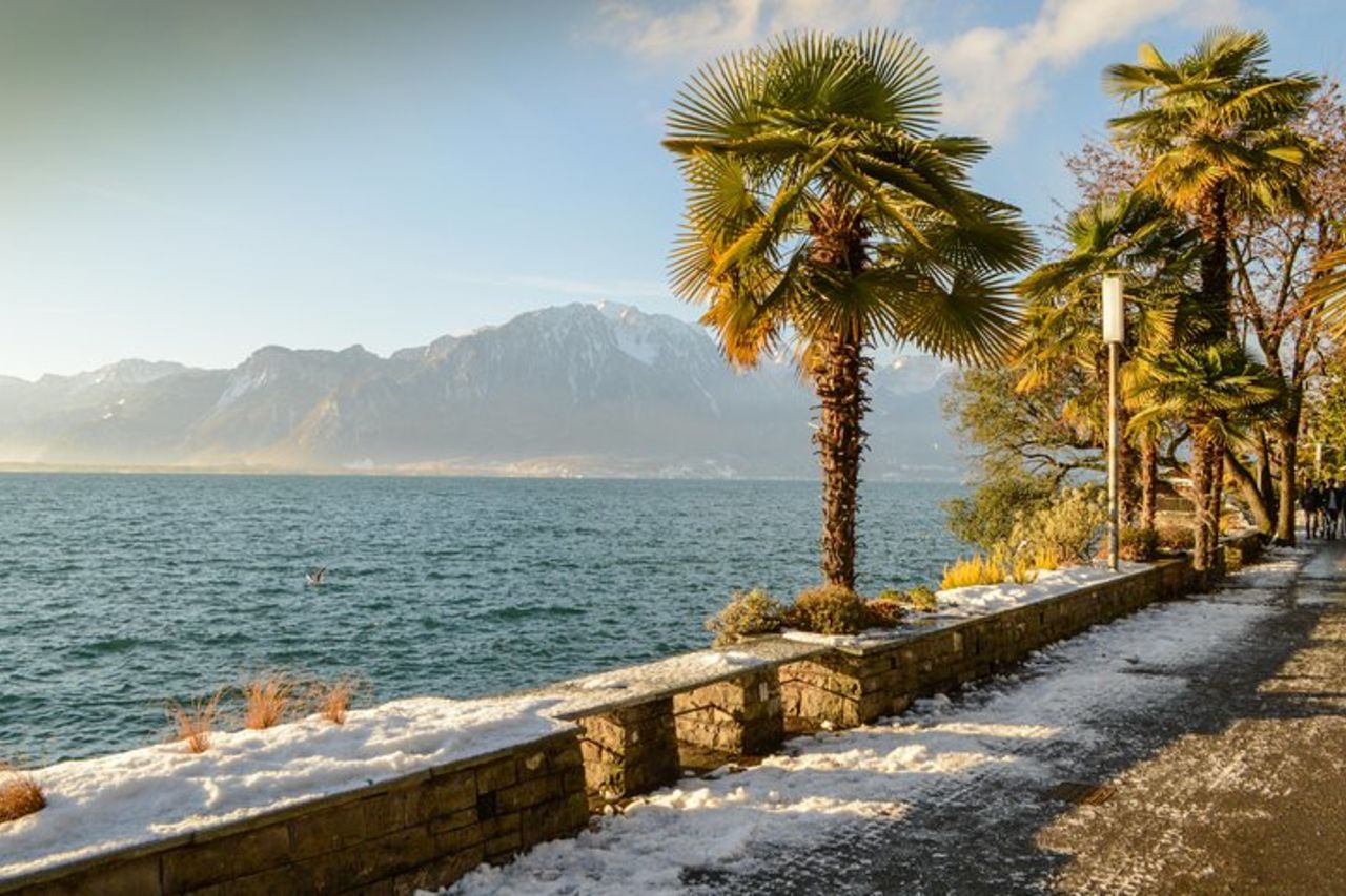 (KTG303) - Montreux d'inverno, Chillon e il mondo di Chaplin da Ginevra — 5