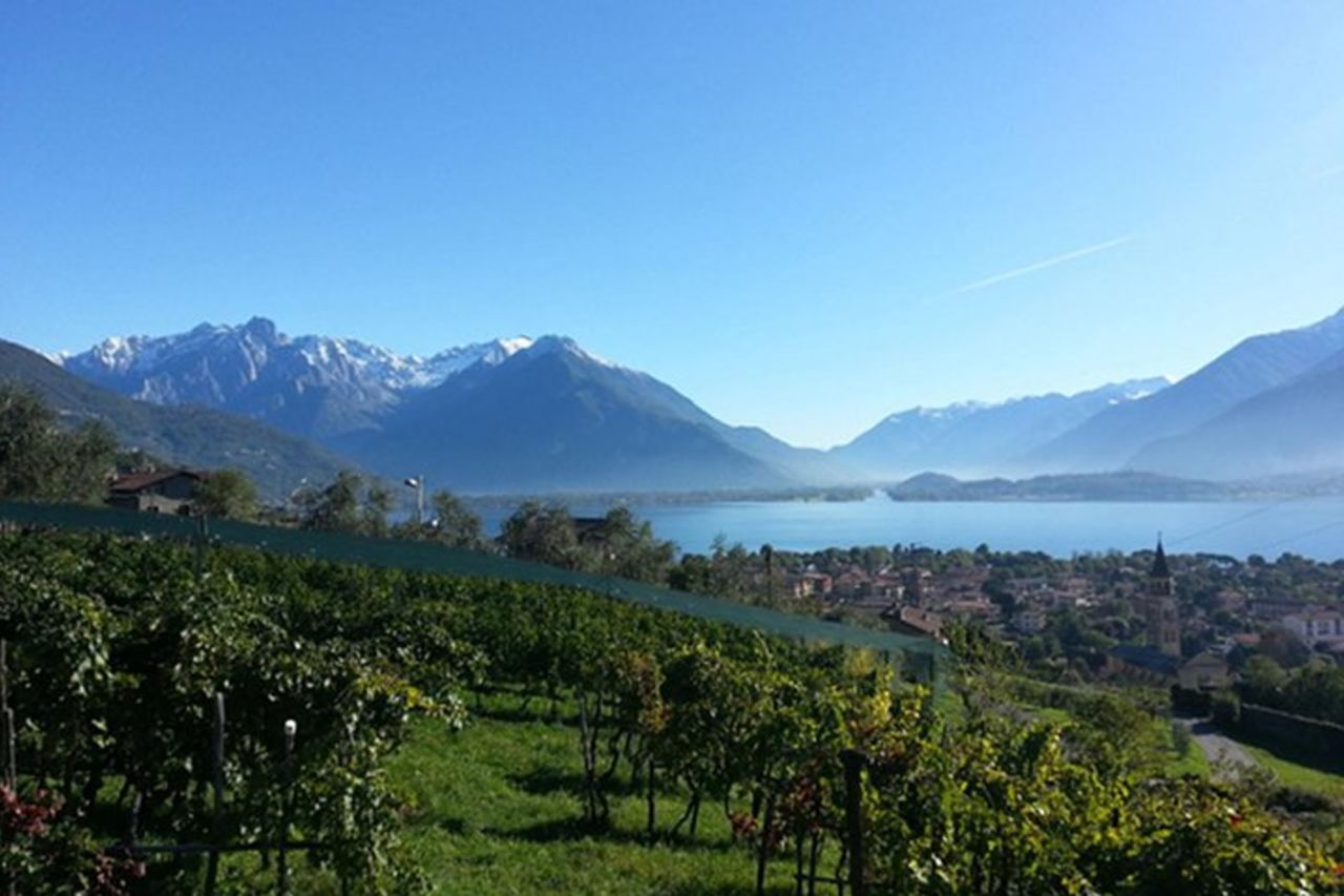 Domaso: degustazione di vini presso cantina sul Lago di Como — 4