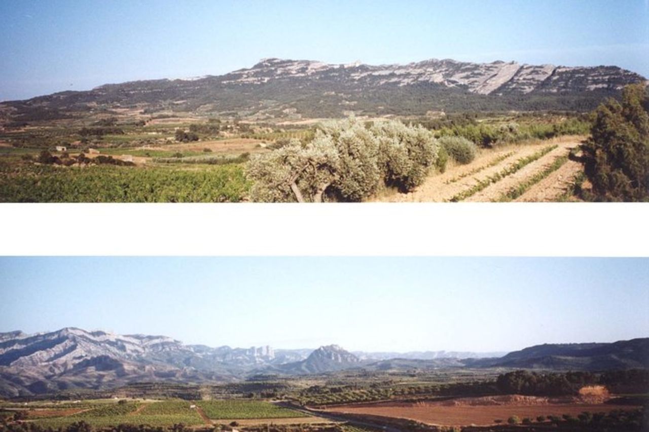 Visita la cantina e la degustazione di vini — 3