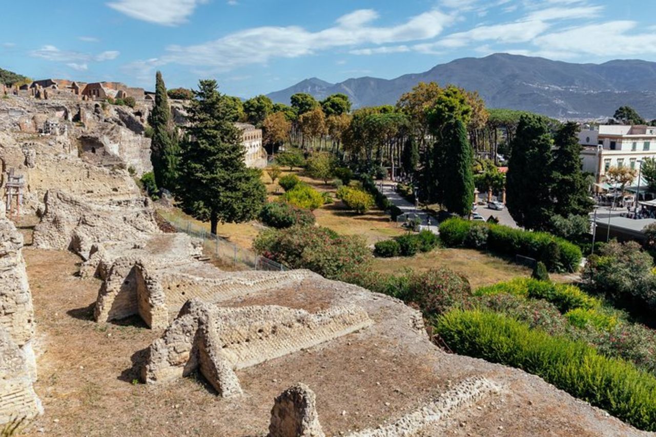 Escursione di un giorno privato alle rovine di Pompei ed Ercolano — 2