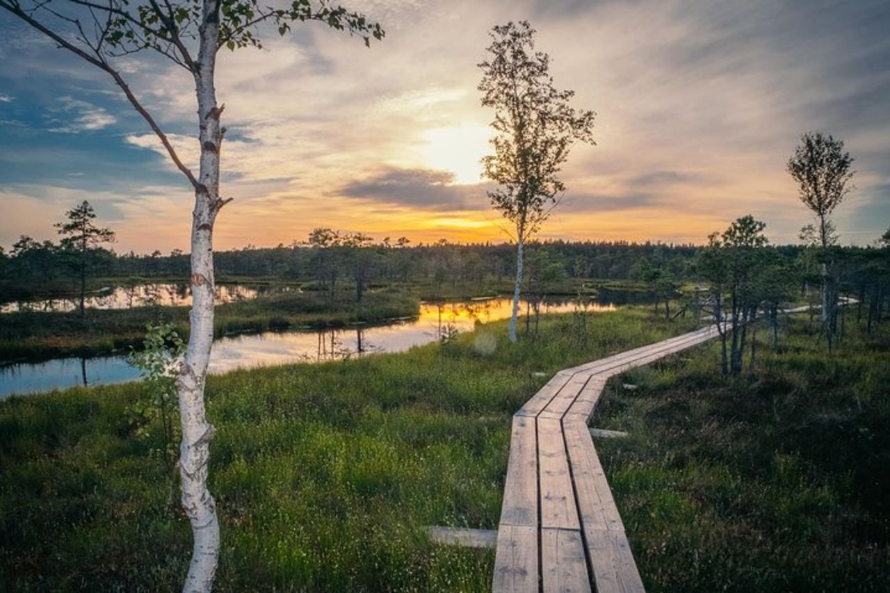 Tour dell'alba alla grande palude di Kemeri — 4
