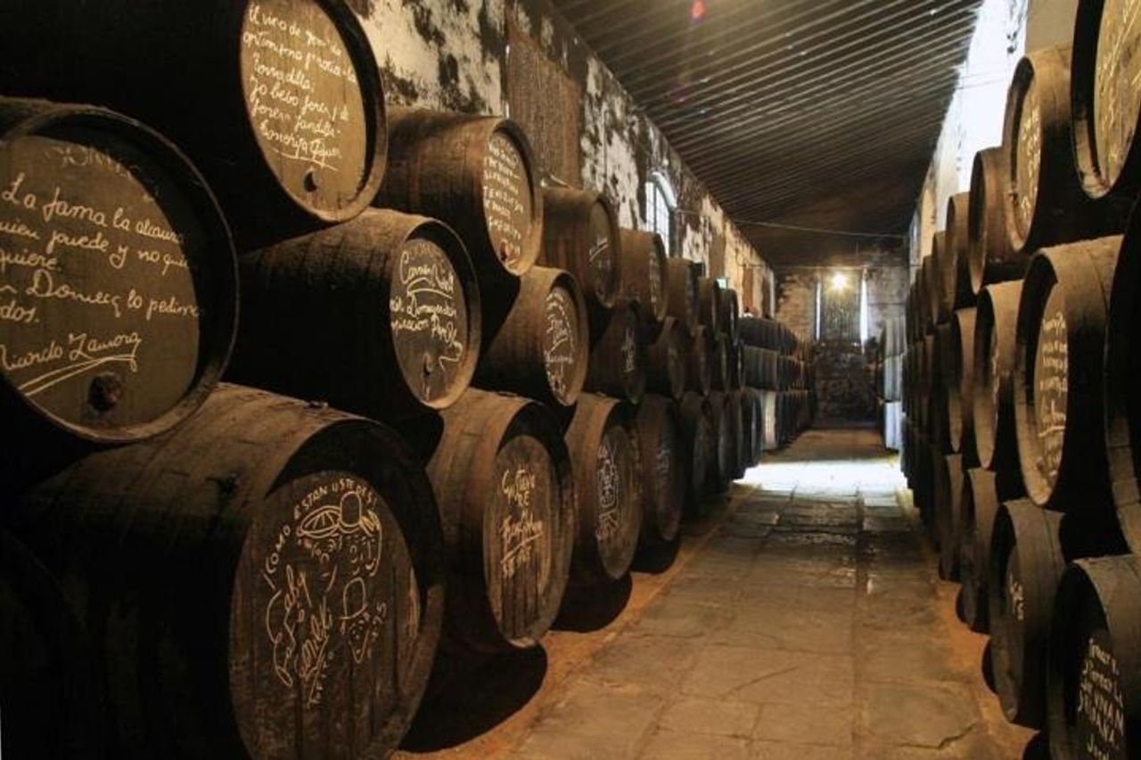 Gita di un giorno da Siviglia a Jerez e Cadice — 6