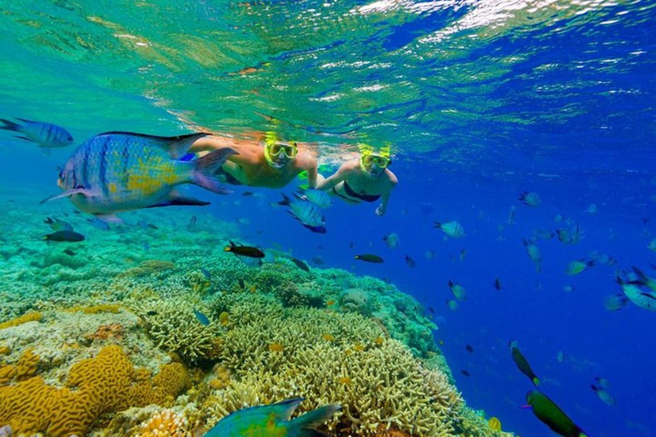 Grande crociera di snorkeling con incontro di squali e razze e piscina naturale — 3