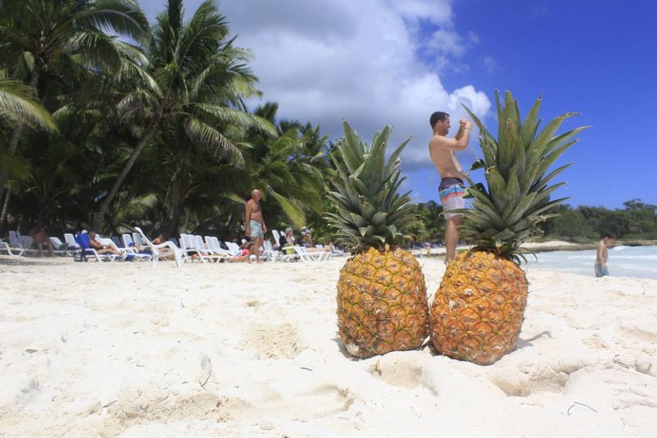 Escursione all'isola di Saona da Punta Cana — 9