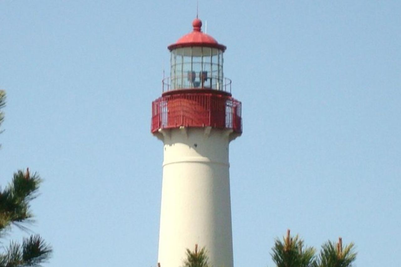 Osservazione dei delfini intorno a Cape May — 6