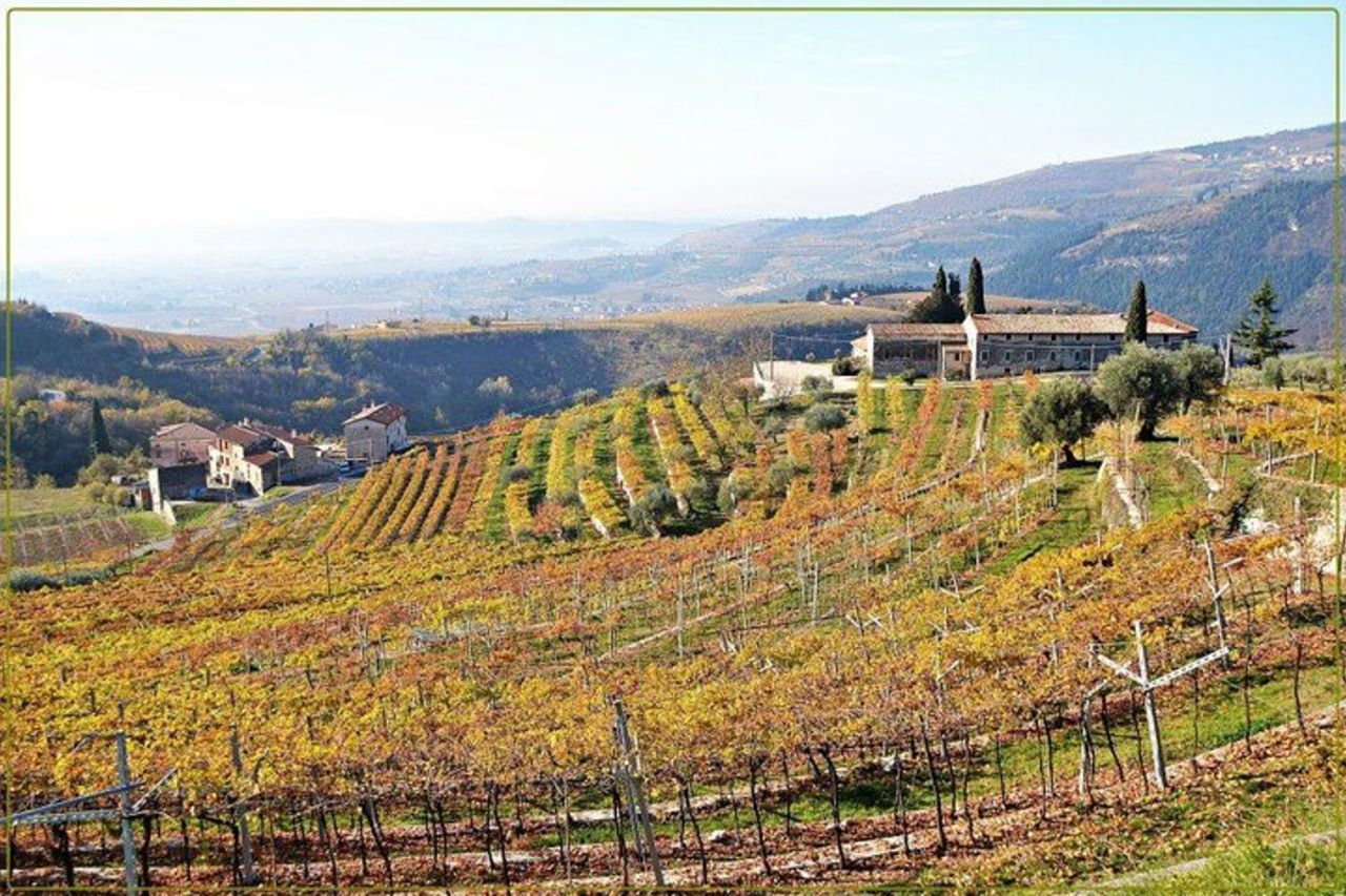 Discover Valpolicella Esperienza di Degustazione — 9