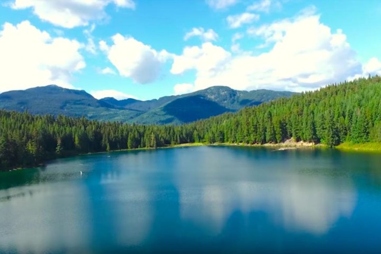 Whistler Sightseeing Tour da Vancouver: vedi Horseshoe Bay e Shannon Falls — 2