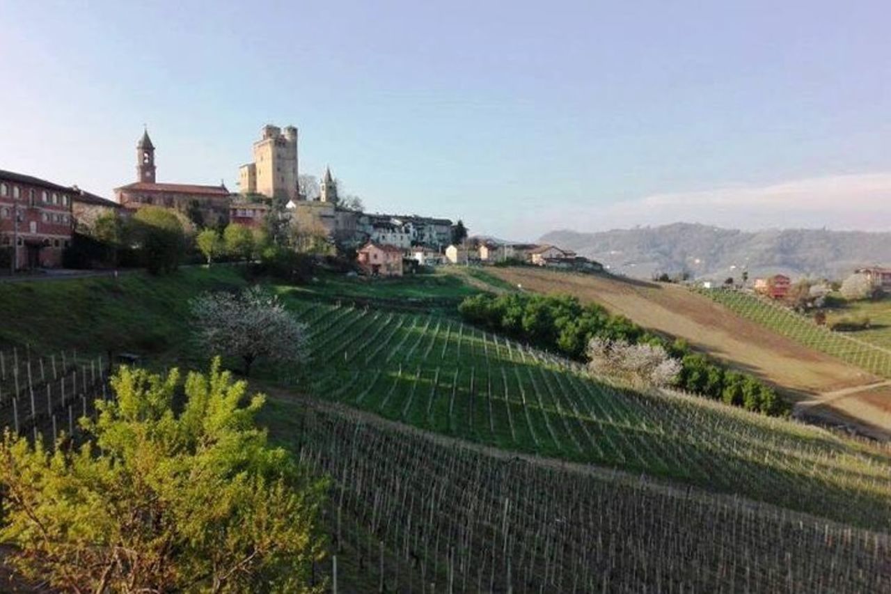 Tour delle cantine piemontesi : Gusto Barolo, Barbaresco e Cibo Tradizionale — 8