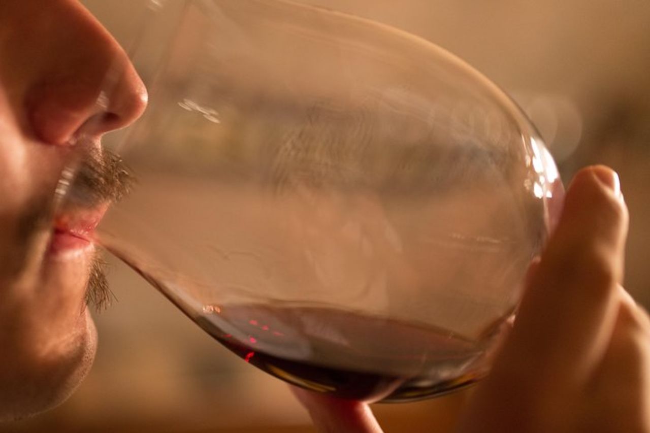 Tour delle cantine piemontesi : Gusto Barolo, Barbaresco e Cibo Tradizionale — 7