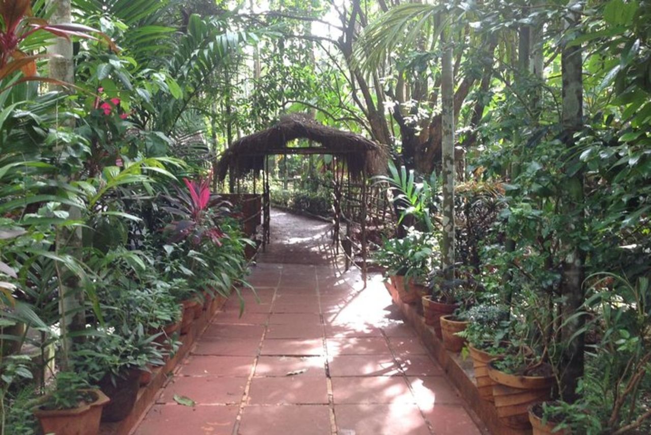 Antiche chiese, templi e piantagioni di spezie di Goa con pranzo "Goan". — 6