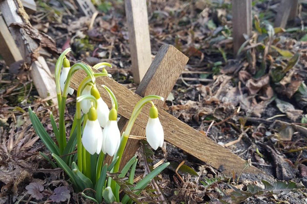 Tour da Riga - Vilnius via Bauska, Rundale, La Collina delle Croci — 5