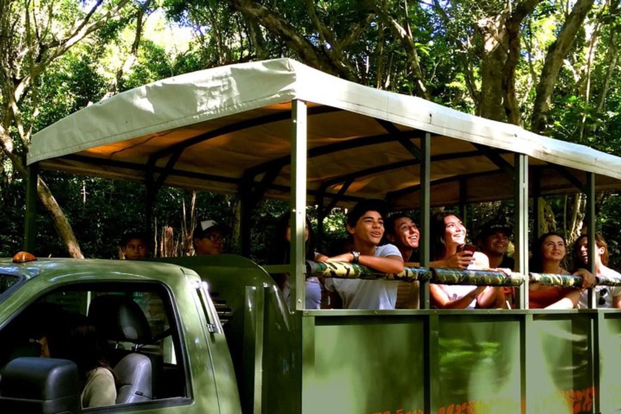 Kualoa Ranch: tour di spedizione nella giungla — 3