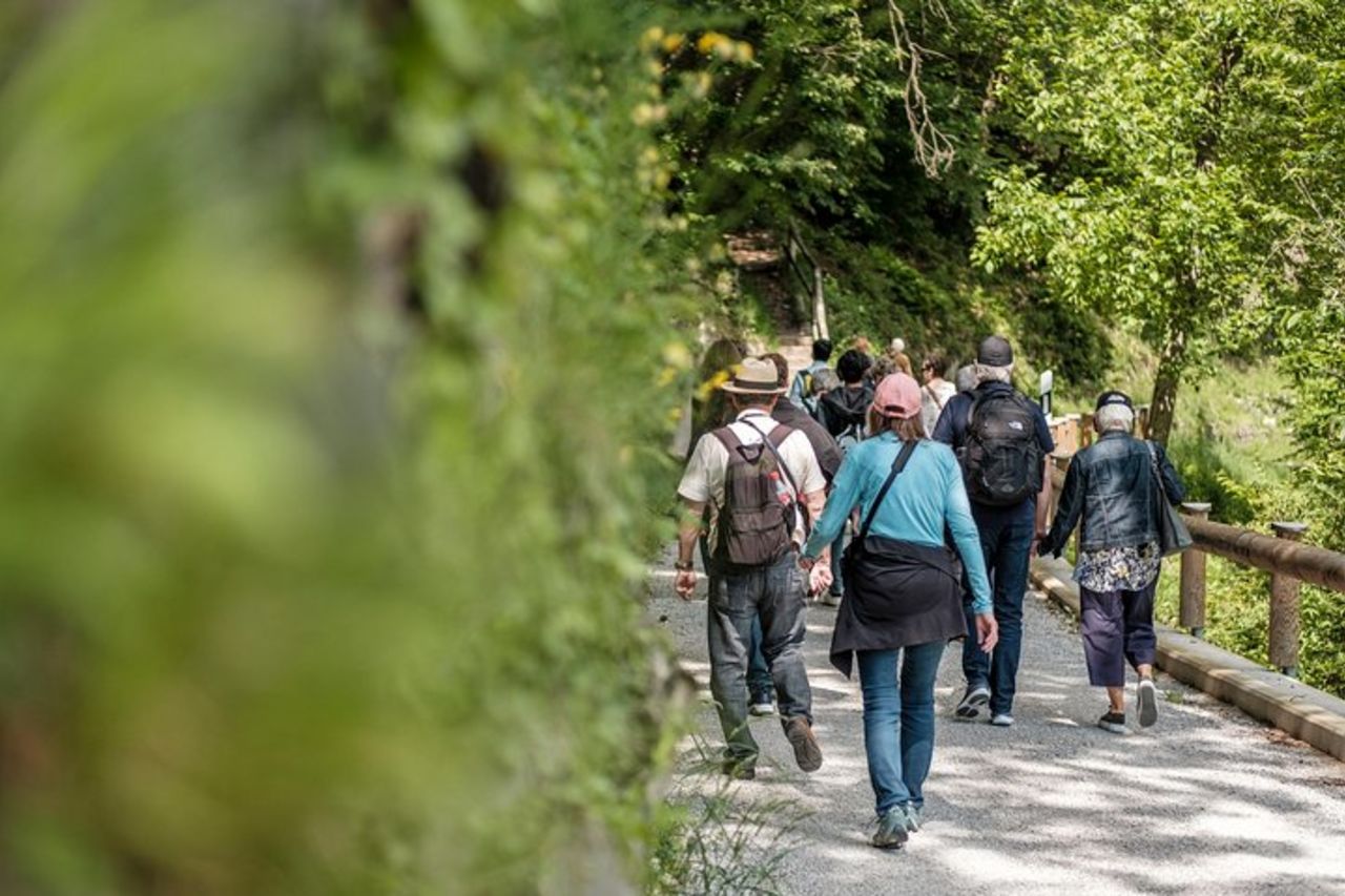 Escursione guidata Lugano - Monte Brè in funicolare — 3