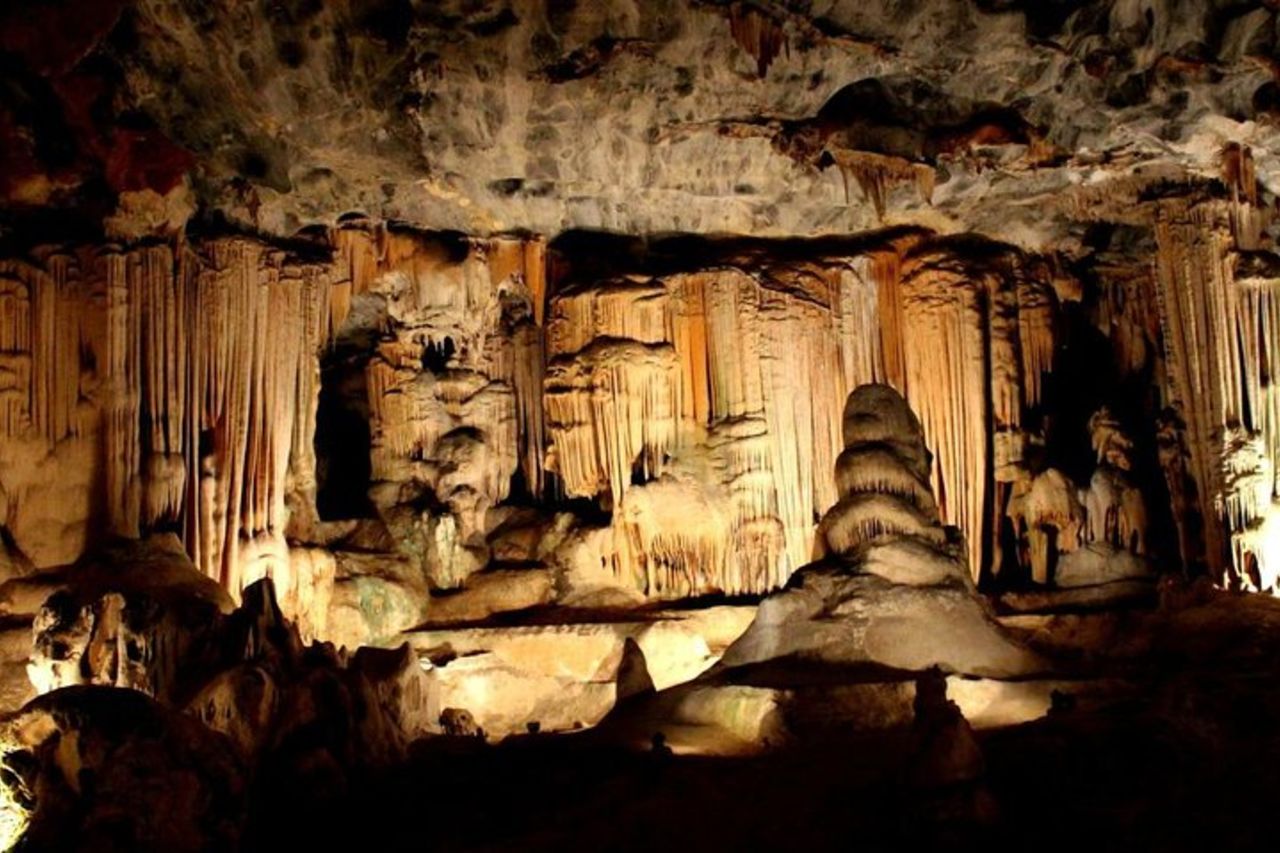 Le migliori attrazioni della Garden Route di 3 giorni con Safari da Città del Capo — 9