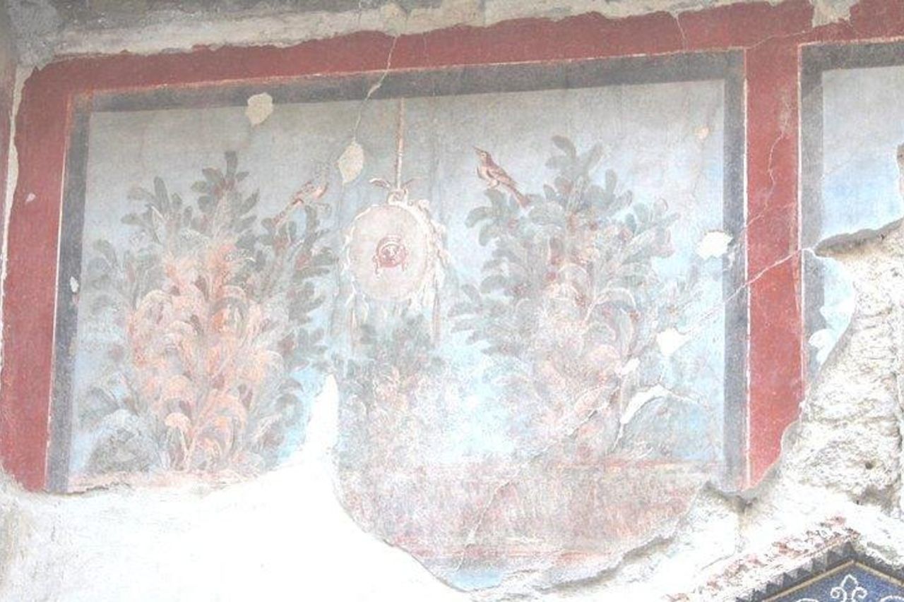 Tour privato di Pompei ed Ercolano con guida locale e biglietti saltafila — 5