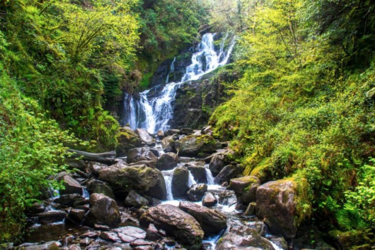 Tour di un giorno privato di lusso a Wicklow Mountains e Glendalough — 8