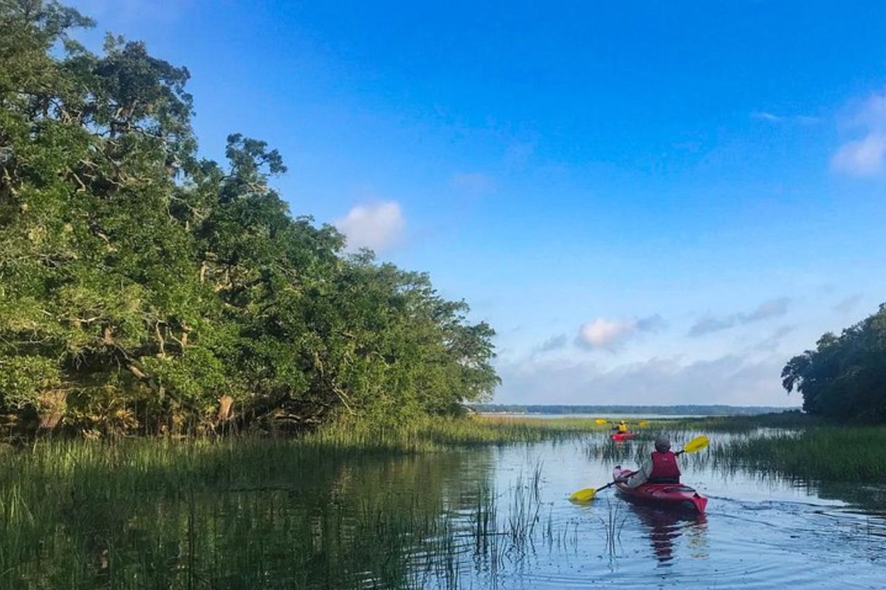 Tour naturalistico guidato in kayak di 2 ore all'Hilton Head — 6