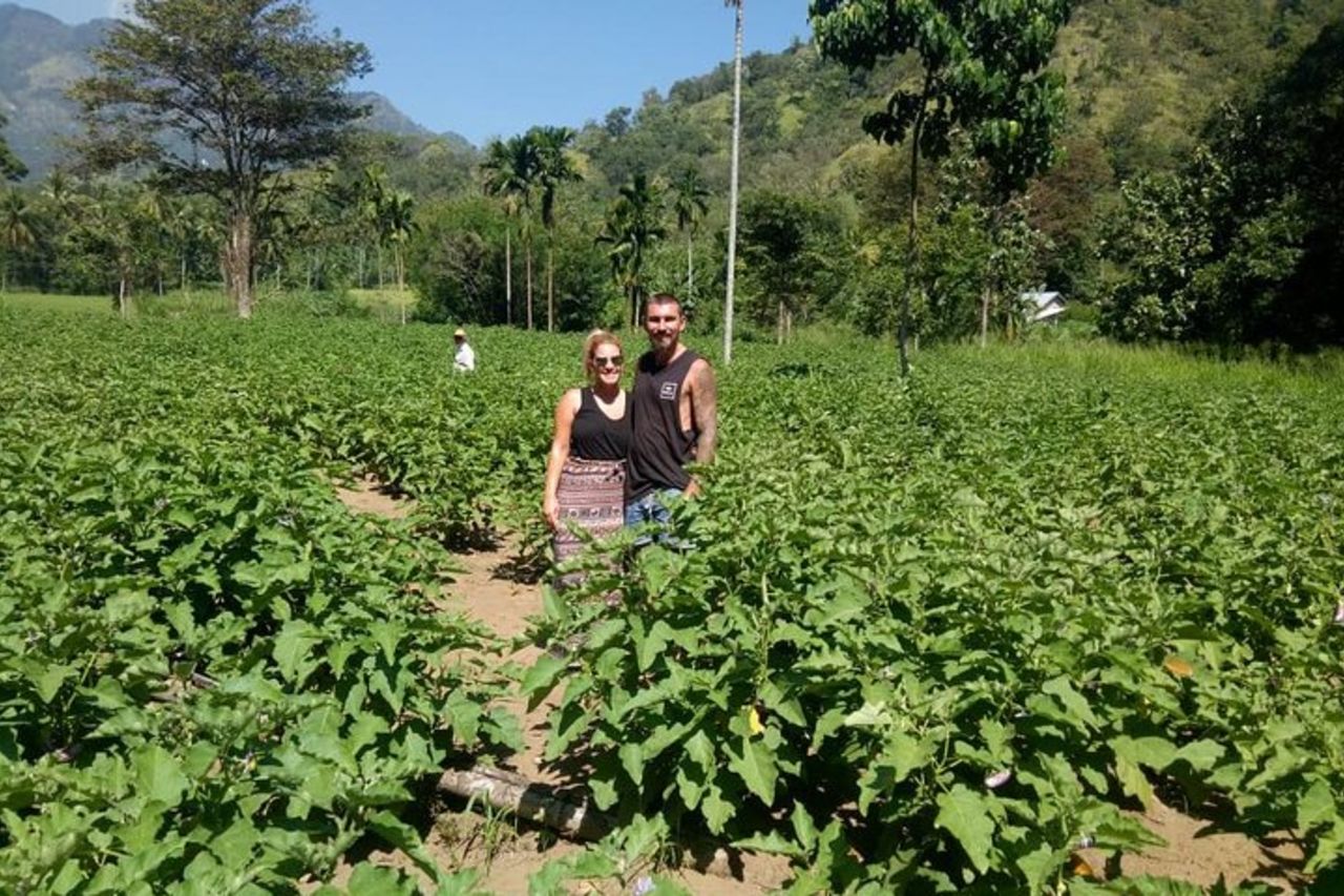 Tour del villaggio di campagna di Ella da Ella — 7