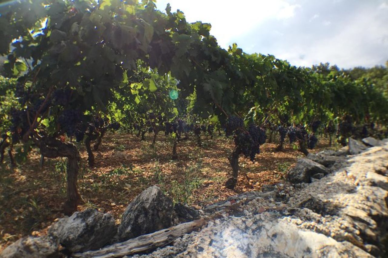 Tour esclusivo del vino di Hvar - viste panoramiche e vini locali — 8