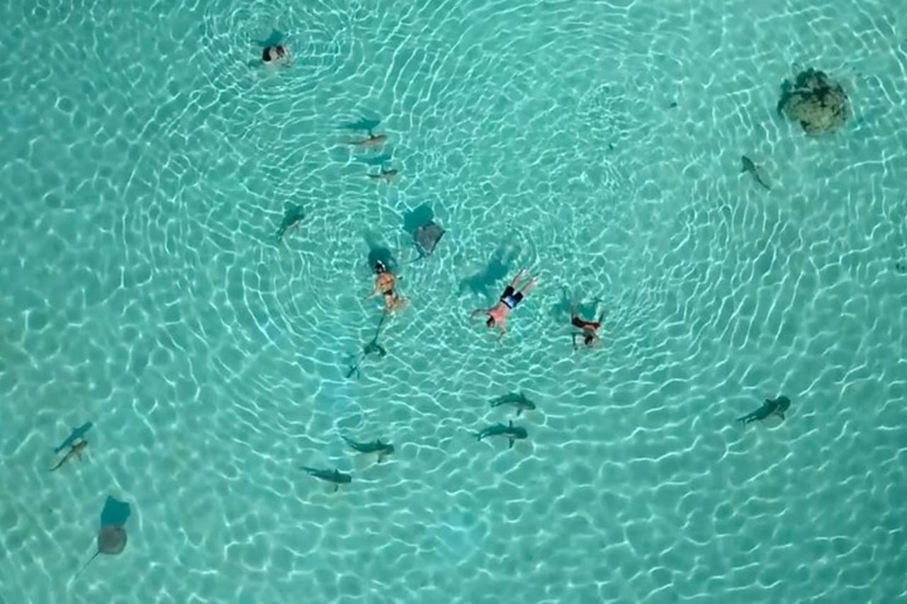 Tour di mezza giornata: Moorea Snorkeling e vela su un catamarano chiamato Taboo — 7