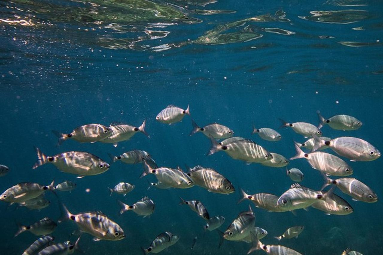 Cinque Terre Private Boat Tour — 4