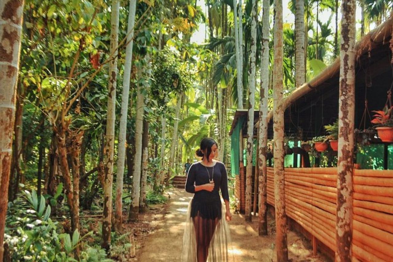 ATTRAZIONI CULTURALI E STORICHE DEL GIORNO - Chiese, templi e piantagione di spezie — 2