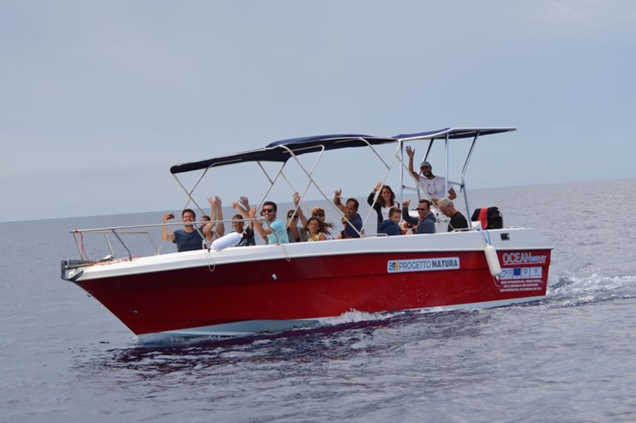 Alghero - Avvistamento Delfini (Spring & Autumn Tour) — 3